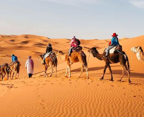 2 Days Marrakech to Merzouga (Shared)