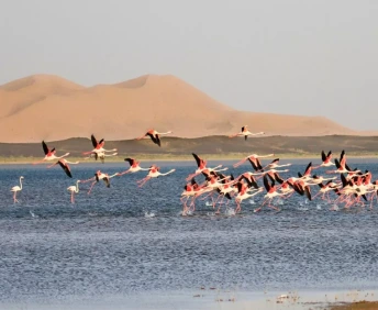 3 Day Desert Tour from Ouarzazate to Marrakech